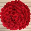 mar_berry mar_berry
